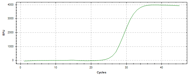 Amplification of cDNA generated from universal RNA.