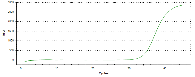 Amplification of cDNA generated from universal RNA.