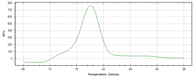 Melt curve analysis of above amplification.