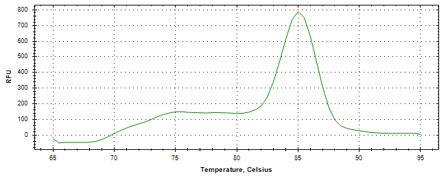 Melt curve analysis of above amplification.