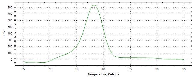 Melt curve analysis of above amplification.