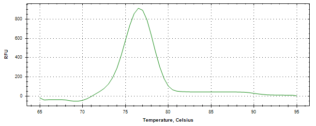 Melt curve analysis of above amplification.