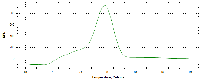 Melt curve analysis of above amplification.