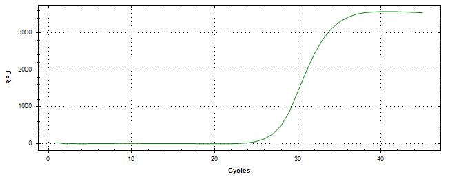 Amplification of cDNA generated from universal RNA.