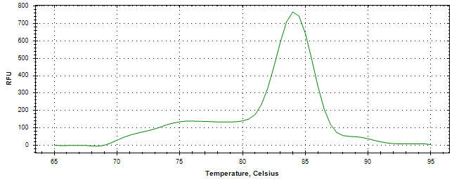 Melt curve analysis of above amplification.