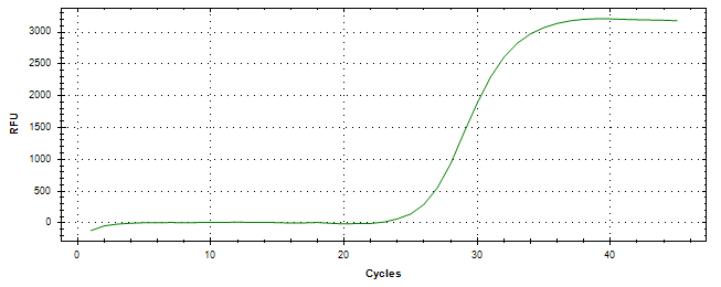 Amplification of cDNA generated from universal RNA.