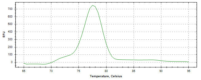 Melt curve analysis of above amplification.