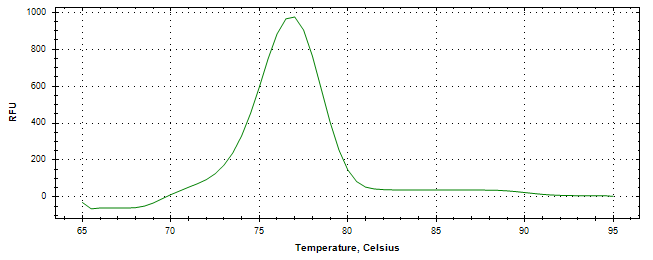 Melt curve analysis of above amplification.