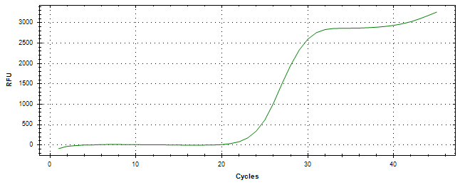 Amplification of cDNA generated from universal RNA.