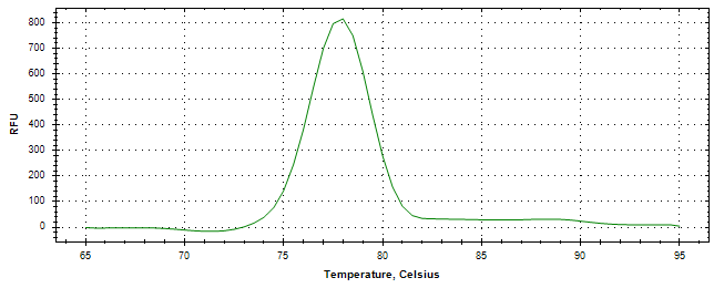 Melt curve analysis of above amplification.