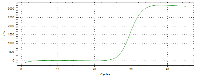 Amplification of cDNA generated from universal RNA.