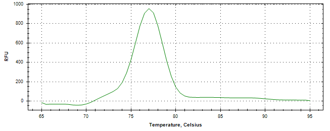 Melt curve analysis of above amplification.