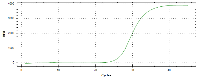 Amplification of cDNA generated from universal RNA.