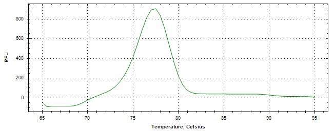 Melt curve analysis of above amplification.