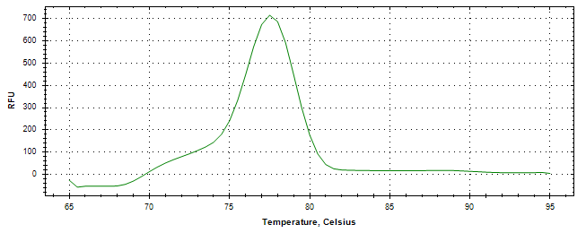 Melt curve analysis of above amplification.