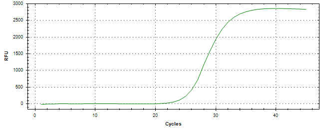 Amplification of cDNA generated from universal RNA.