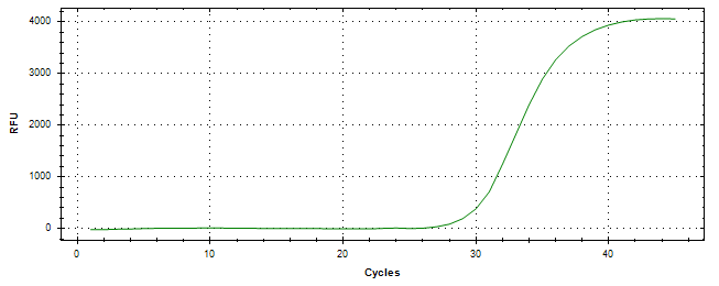 Amplification of cDNA generated from universal RNA.