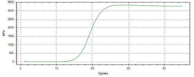 Amplification of cDNA generated from universal RNA.