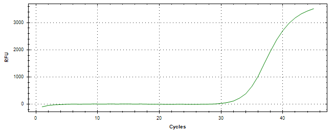 Amplification of cDNA generated from universal RNA.