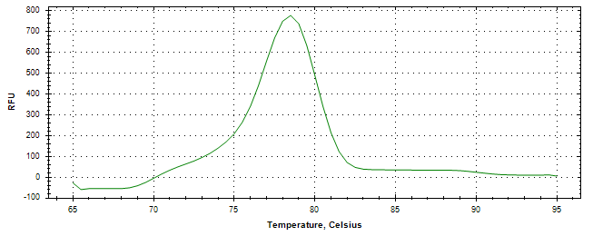 Melt curve analysis of above amplification.