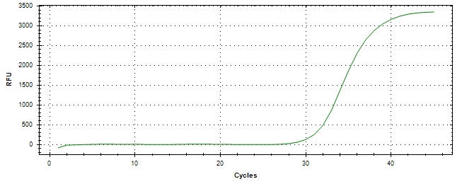 Amplification of cDNA generated from universal RNA.