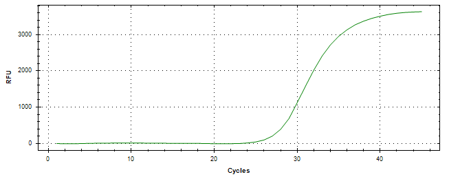 Amplification of cDNA generated from universal RNA.