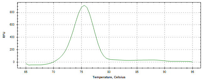 Melt curve analysis of above amplification.