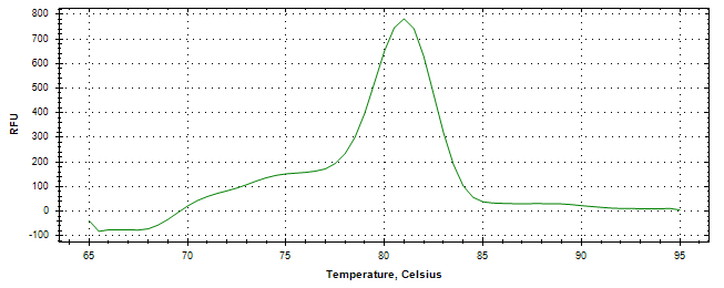 Melt curve analysis of above amplification.