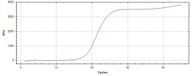 Amplification of cDNA generated from universal RNA.