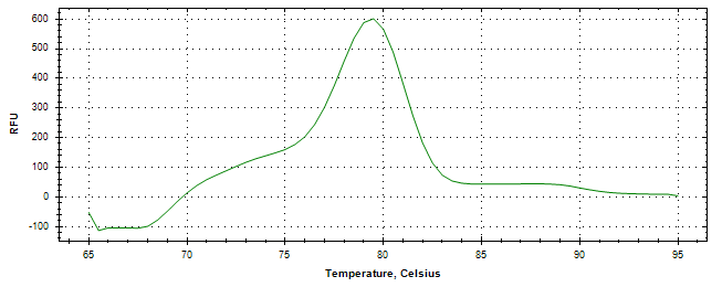 Melt curve analysis of above amplification.