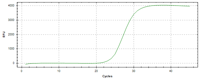 Amplification of cDNA generated from universal RNA.