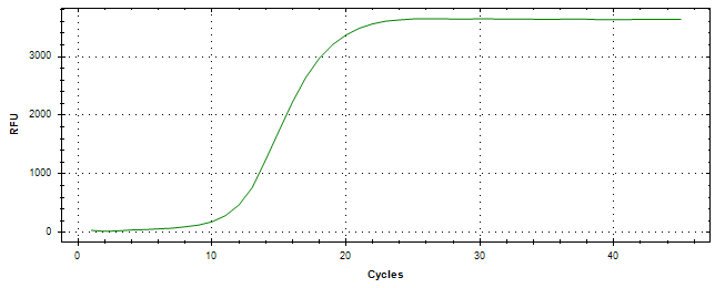 Amplification of cDNA generated from universal RNA.