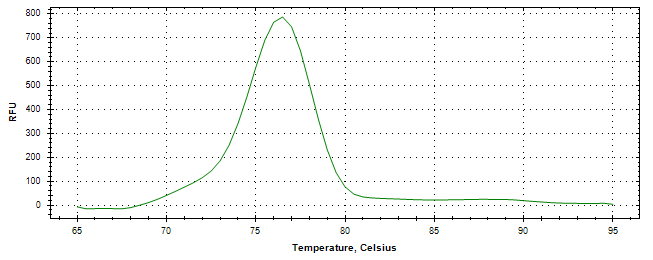 Melt curve analysis of above amplification.