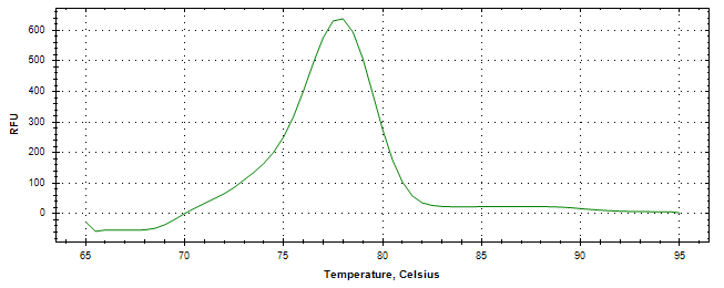 Melt curve analysis of above amplification.