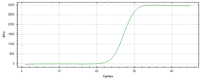 Amplification of cDNA generated from universal RNA.