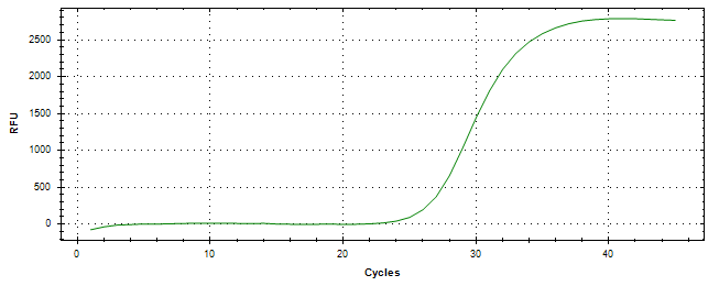 Amplification of cDNA generated from universal RNA.