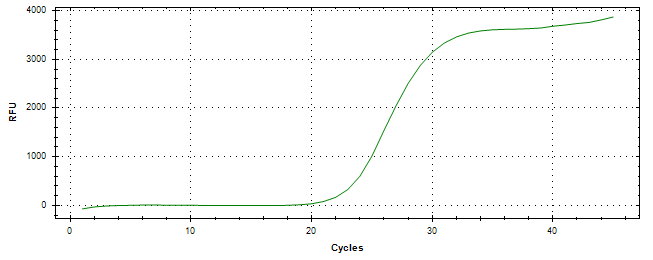 Amplification of cDNA generated from universal RNA.