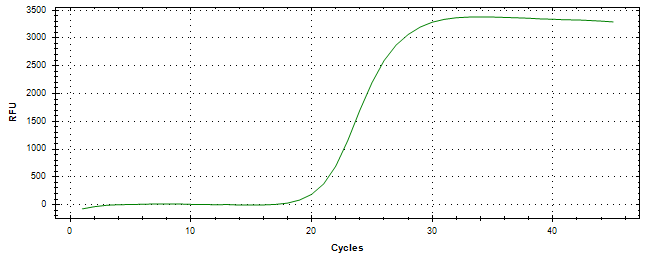 Amplification of cDNA generated from universal RNA.