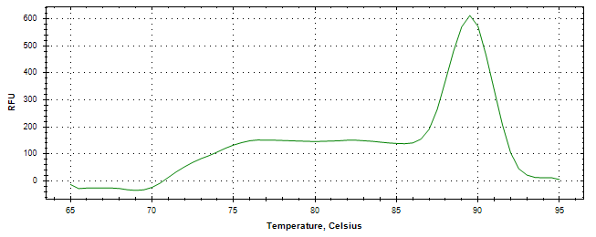 Melt curve analysis of above amplification.