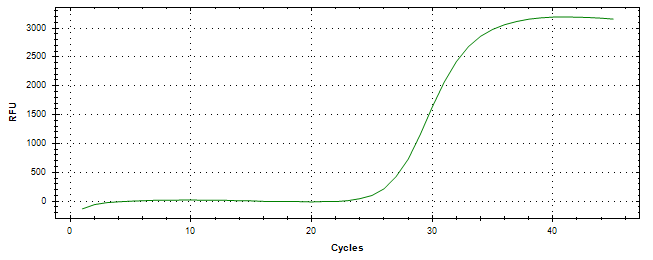 Amplification of cDNA generated from universal RNA.