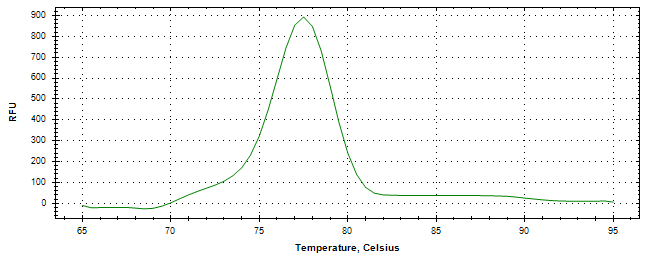 Melt curve analysis of above amplification.