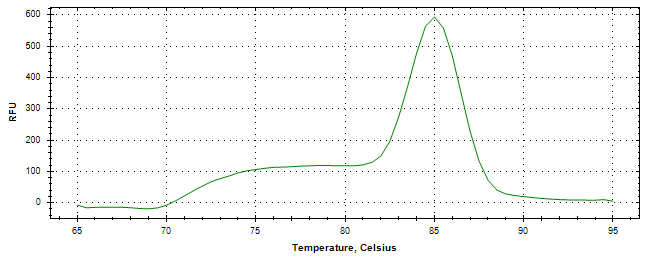 Melt curve analysis of above amplification.