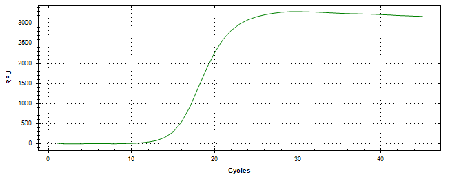 Amplification of cDNA generated from universal RNA.