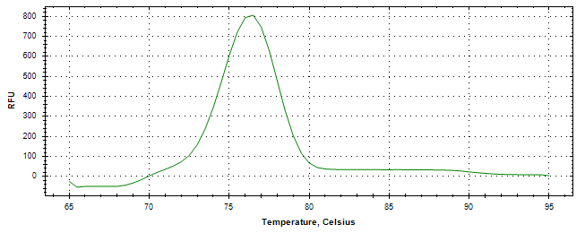 Melt curve analysis of above amplification.