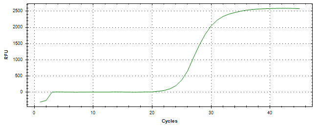 Amplification of cDNA generated from universal RNA.