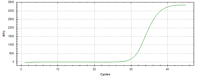 Amplification of cDNA generated from universal RNA.