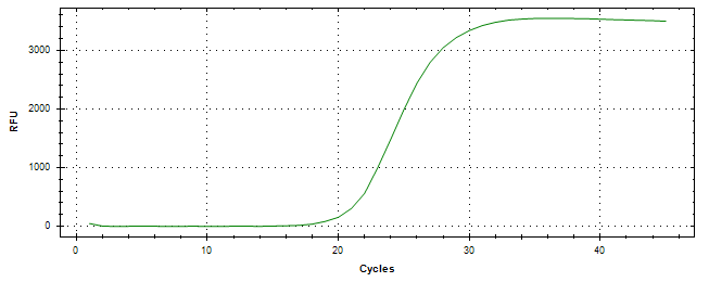 Amplification of cDNA generated from universal RNA.