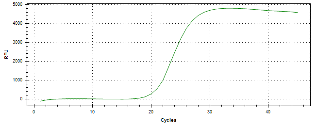 Amplification of cDNA generated from universal RNA.