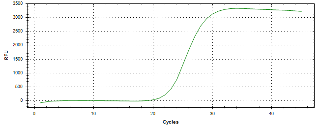 Amplification of cDNA generated from universal RNA.