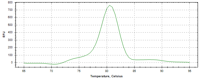 Melt curve analysis of above amplification.